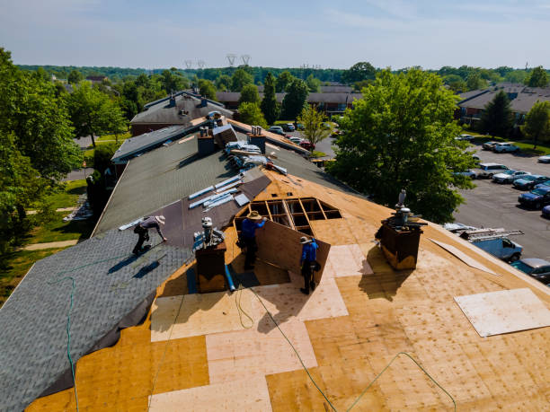 Trusted Roof Replacement service in Jetson, KY - Brentwood Metal Roofing